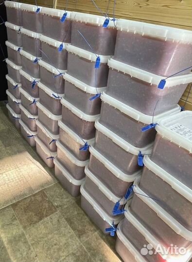 Икра красная кеты, улов июнь 2023 года