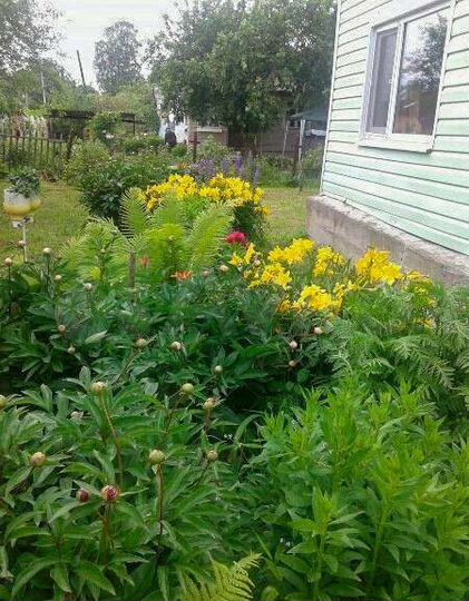 Дом 44,3 м² на участке 12,5 сот.