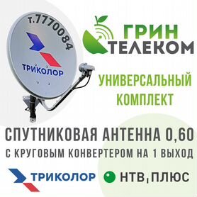 Антенна 0,60 с конвертором на один выход