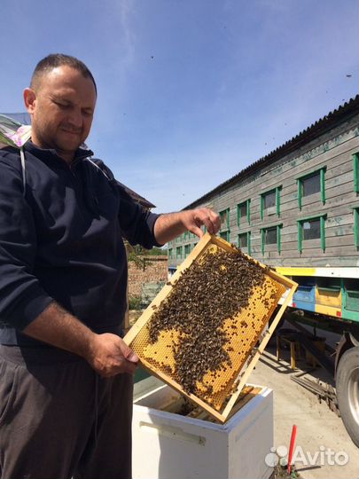 Мед натуральный со своей пасеки