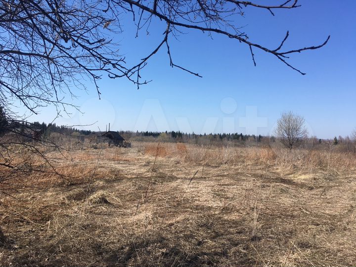 Участок 25 сот. (СНТ, ДНП)