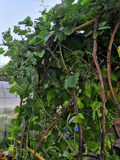 Дом 45 м² на участке 10 сот.