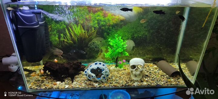 Продам аквариум с тумбой