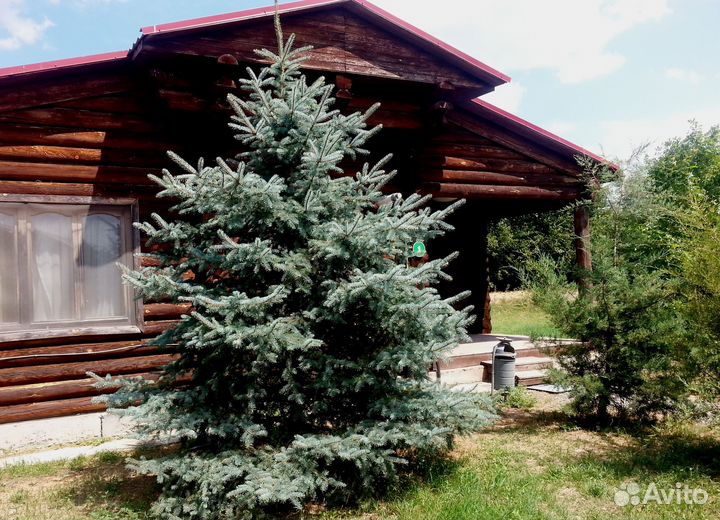 Продаётся база отдыха в Астраханской области