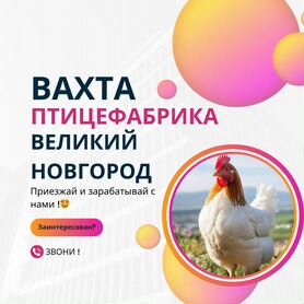 Оператор Линии/вахта/ отличные условия