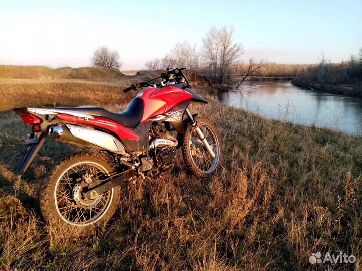 Racer ranger 200