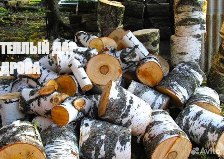 Дрова сухие
