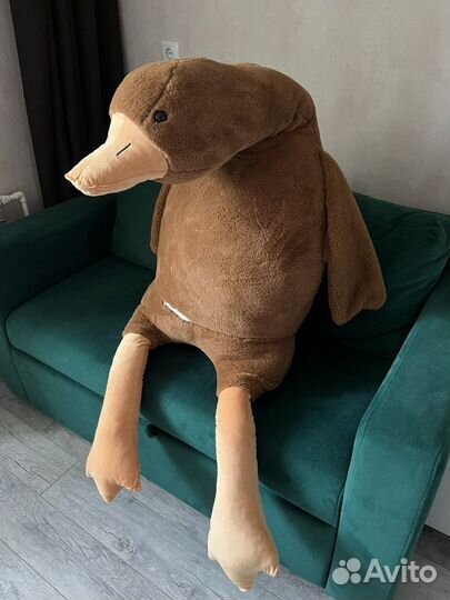 Гусь обнимусь