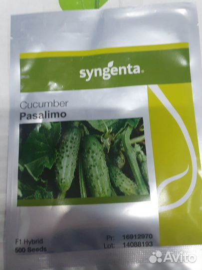 Семена огурец Пасалимо 500с Сингента