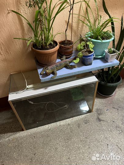 Террариум для рептилий