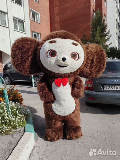 Ушастый любимый герой /Аниматор