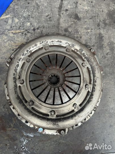 Сцеление на Газель