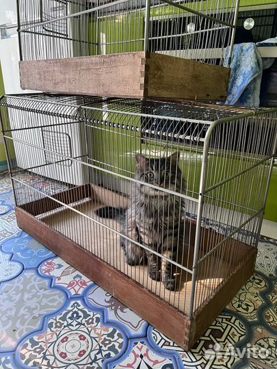 Клетка для птиц