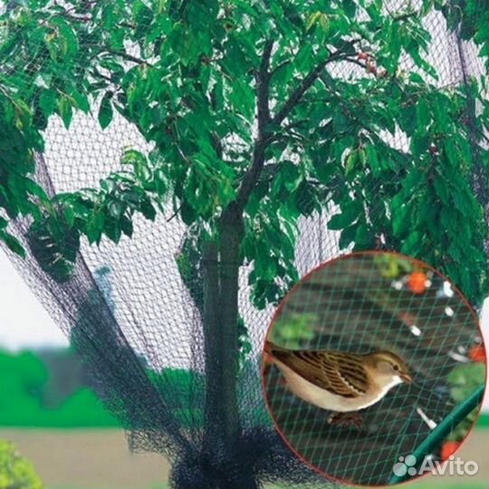 Сетка от птиц 2 м на 5 метров
