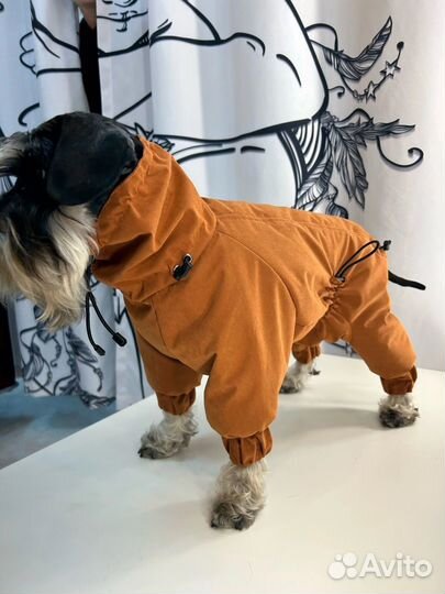 Одежда для собак /Комбинезон/Дождевик