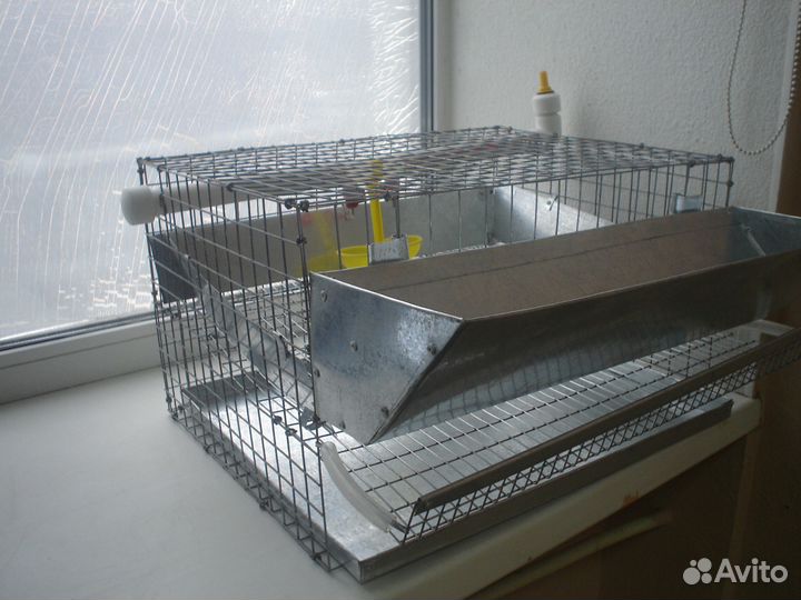 Делаю клетки и брудеры