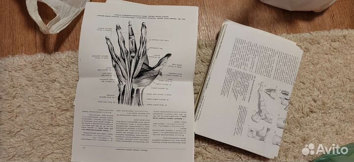 Педиатрия с 1 по 6 курс