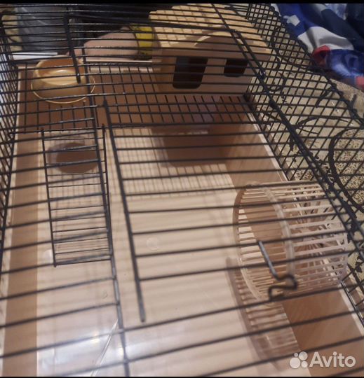 Клетки для грызунов. Новые