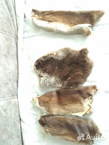 Шкурки от норки, горностая и барсука в комплекте