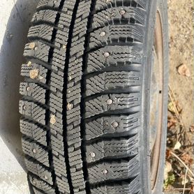 Amtel NordMaster ST 175/65 R14