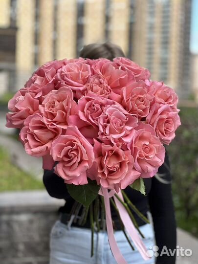 Персиковая французская роза