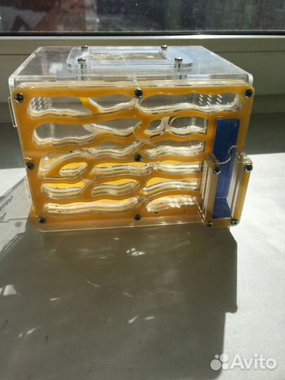 Муравьинная ферма