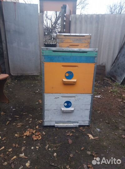 Продается пасека