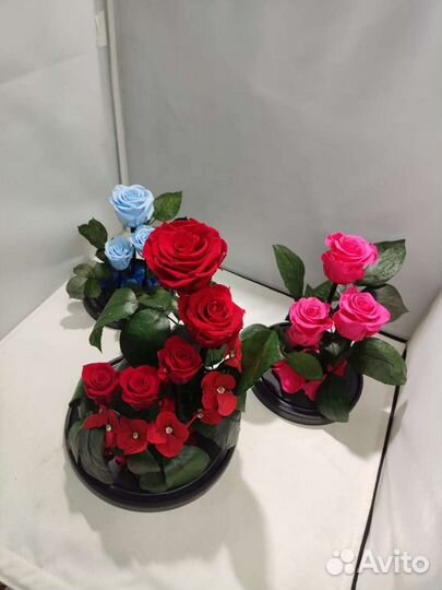 Роза в колбе