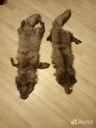 Шкурки чернобурки