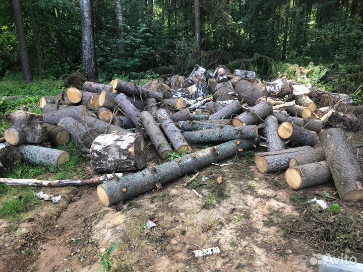 Отдам дрова бесплатно самовывоз
