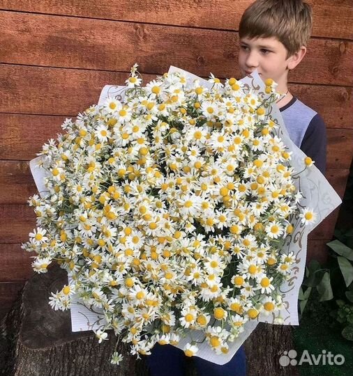 Цветы ромашки. Букеты ромашек. Цветы доставка