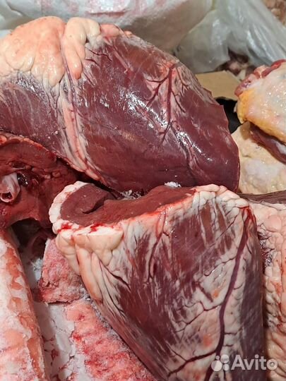 Корма для животных