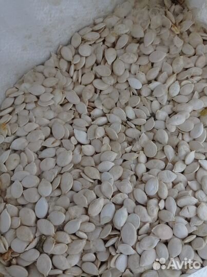 Тыквенные семечки