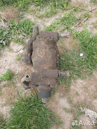 Гур на газель или соболь