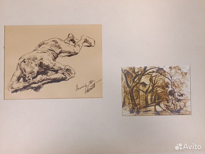 Картина, Овечкин Н