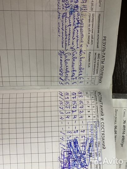 Русская гончая