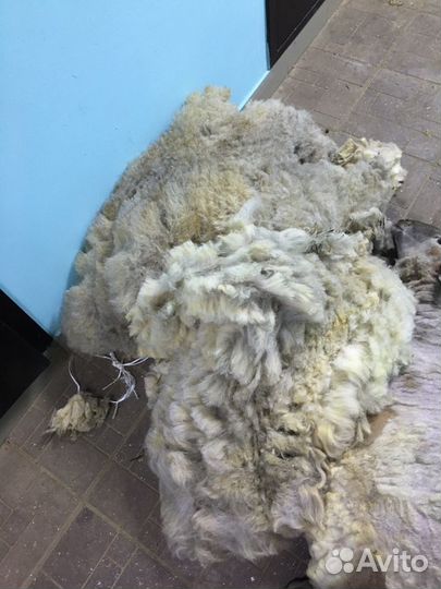Овечья шерсть