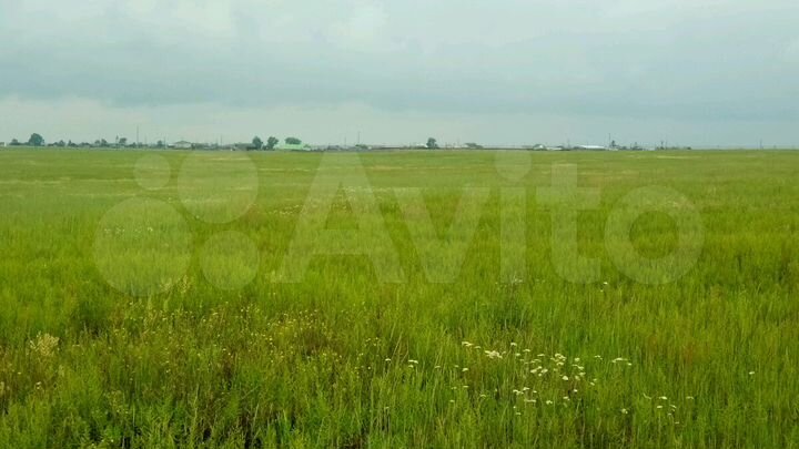 Участок 50 сот. (СНТ, ДНП)