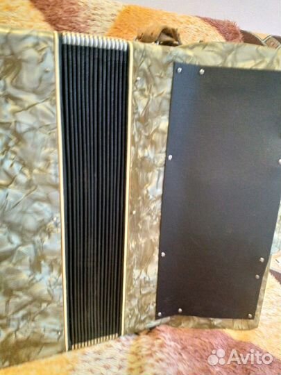 Аккордеон carsini