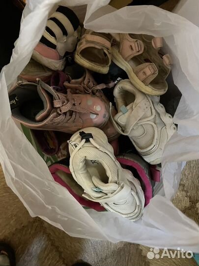 Отдам бесплатно