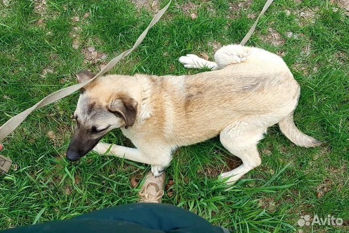 Гермиона мечтает о семье