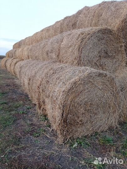 Солома в тюках