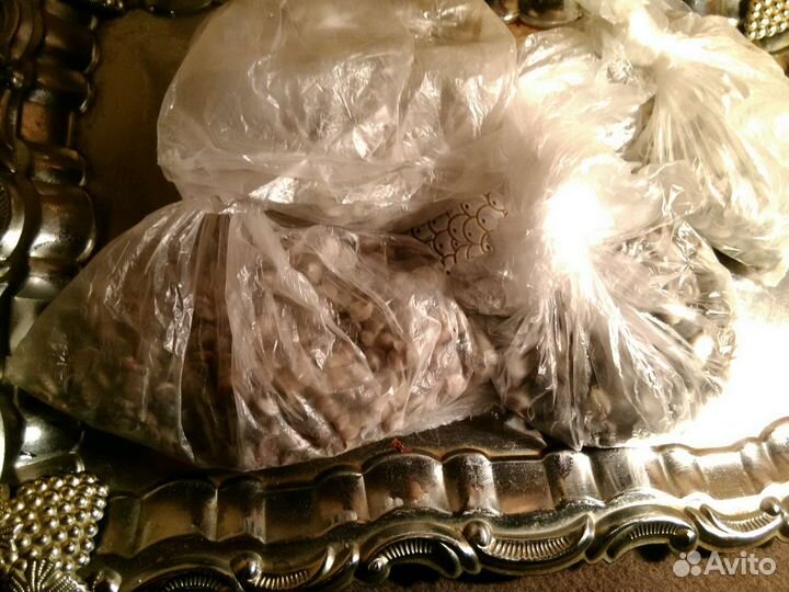 Ракушки морские для рукоделия