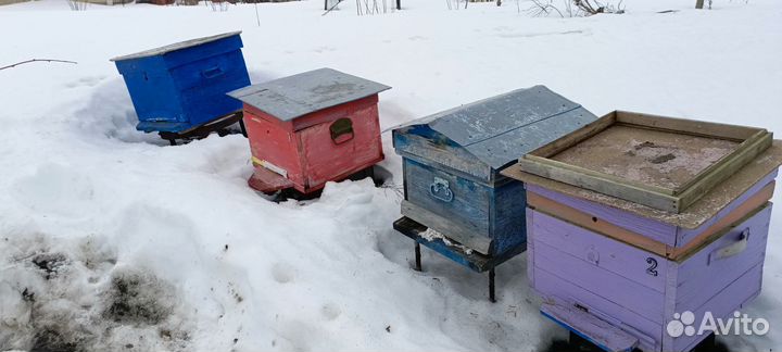 Ульи, подставки, пёлы