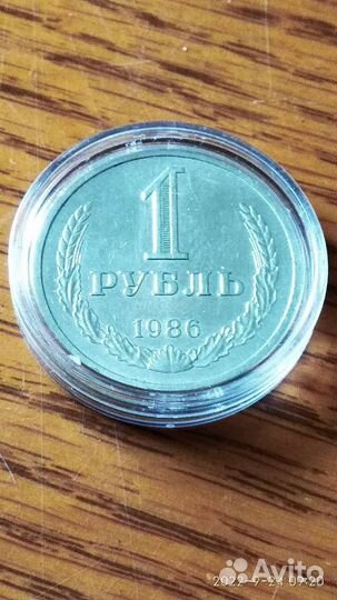 Годовики обмен