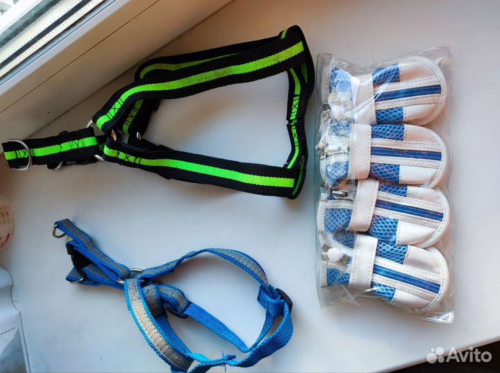 Амуниция для собак