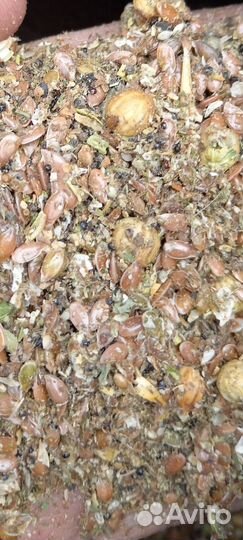 Отходы рапса