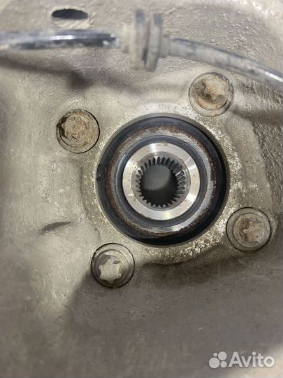 Кулак задний левый