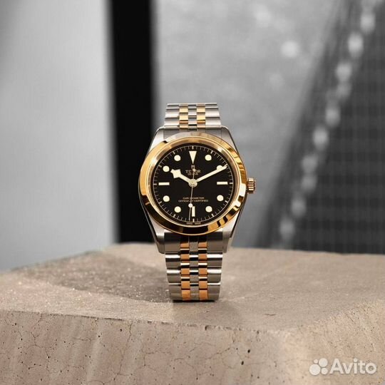 Часы Tudor Black Bay 39 Steel/Gold M79663-0001