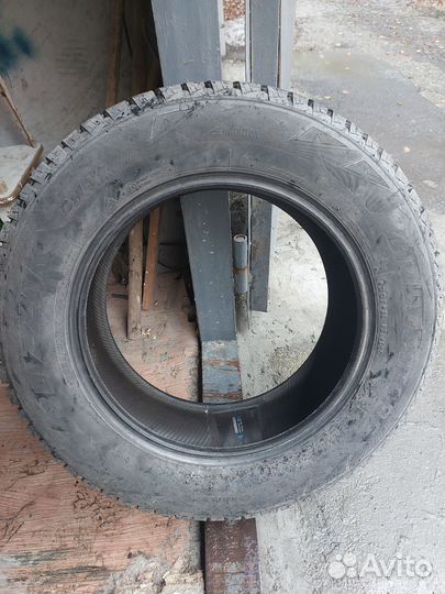 Bridgestone Blizzak DM-V2 225/65 R17 102S